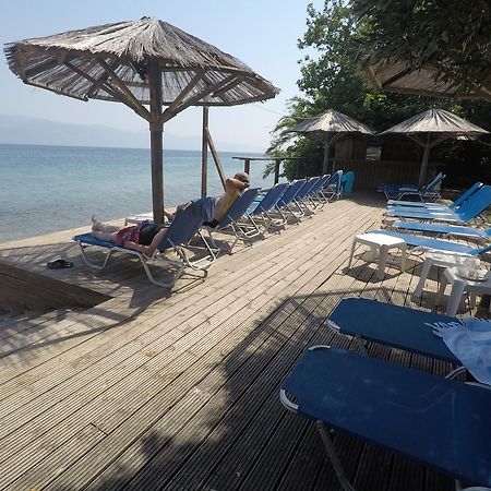 פסאתופירגוס Florida Blue Bay Resort & Spa מראה חיצוני תמונה