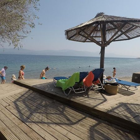פסאתופירגוס Florida Blue Bay Resort & Spa מראה חיצוני תמונה