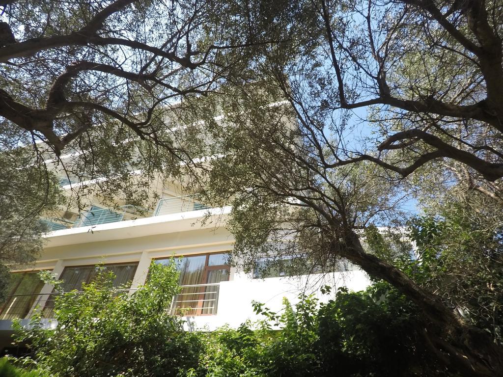 פסאתופירגוס Florida Blue Bay Resort & Spa מראה חיצוני תמונה
